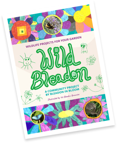 Wild Bleadon Booklet